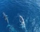 湘南海洋vs鸟栖砂岩现场直播——J2联赛保级6分战